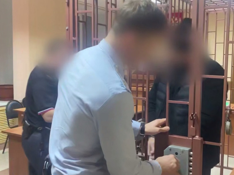 В Нижегородской области задержали членов банды, обманом похищавших выплаты военнослужащих