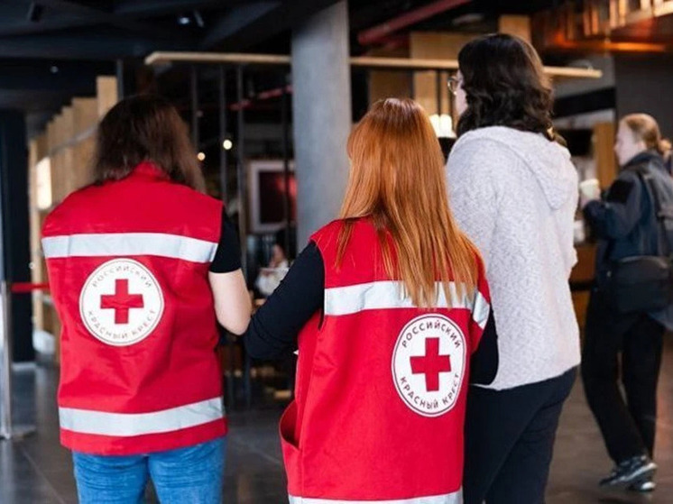 Мосты к выздоровлению: как Красный Крест лечит невидимые раны