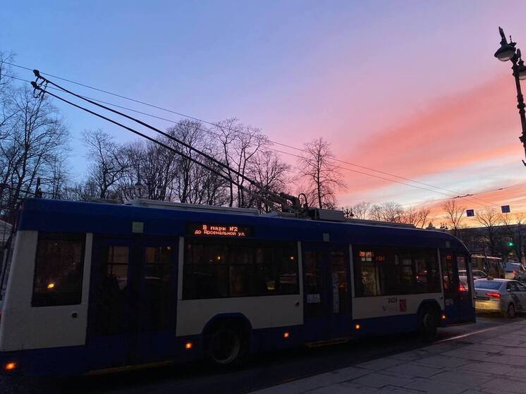 Пьяная мать с несовершеннолетней дочкой избили водителя троллейбуса