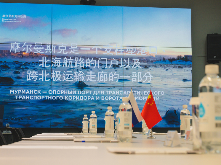 Чибис обсудил с китайской компанией перспективы контейнерных перевозок через Мурманск