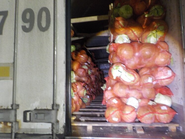 В Омск не пустили 20 тонн капусты без сертификата