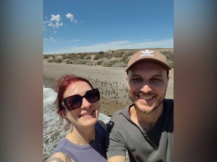 В Карелии нашествие пингвинов: собкоры МК в Карелии поделились фото и видео из своей поездки в Аргентину