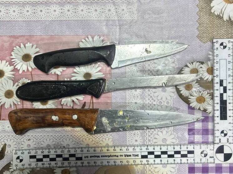 Пожилая жительница Марий Эл зарезала мужа