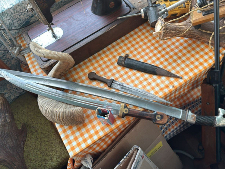 Опасный арсенал в Новой Ляде: полиция Тамбовского района изъяла оружейную коллекцию у местного жителя