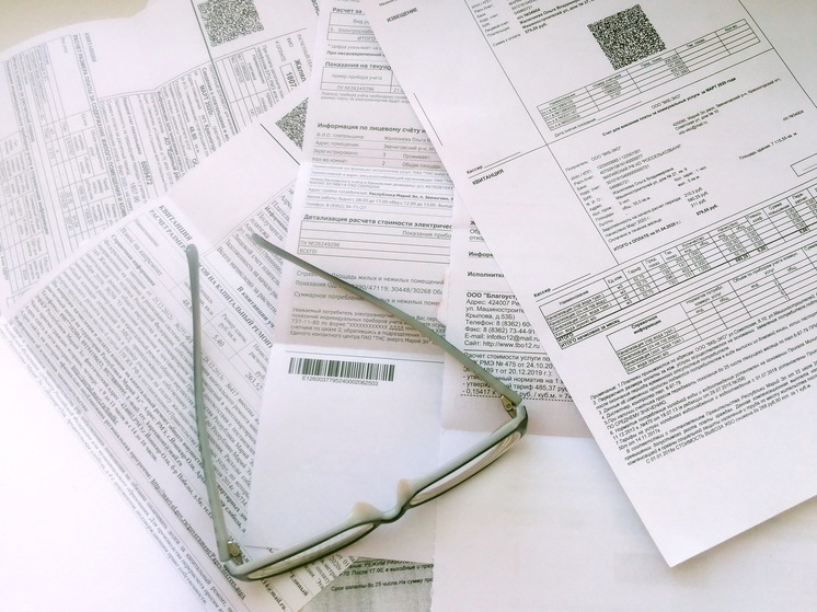 «ТНС энерго Марий Эл»: почти 35 тысяч жителей республики рискуют встретить новогодние праздники без света