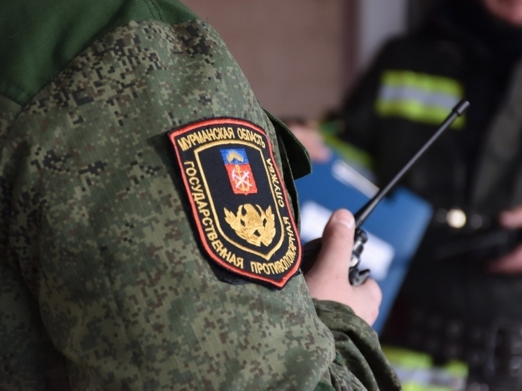 Пожарные потушили возгорание в магазине Апатитов за 34 минуты