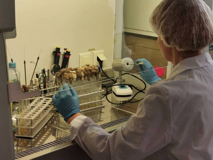 Десяти вологодским агропредприятиям возмещены затраты на обучение студентов-целевиков