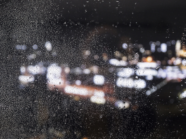 28 ноября ночью в Брянской области пройдут дожди с мокрым снегом