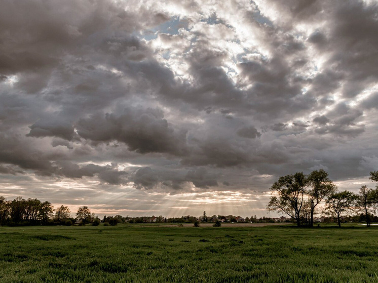 В Липецкой области ожидается дождливая и облачная погода 28 ноября