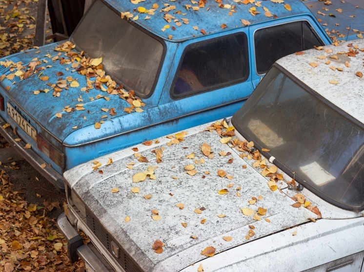 Региональное отделение партии «Новые люди» выступило с инициативой о создании стандартизированной системы эвакуации брошенных автомобилей в Самарской области