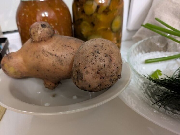 В Воронежской области взлетели цены на картошку и лук