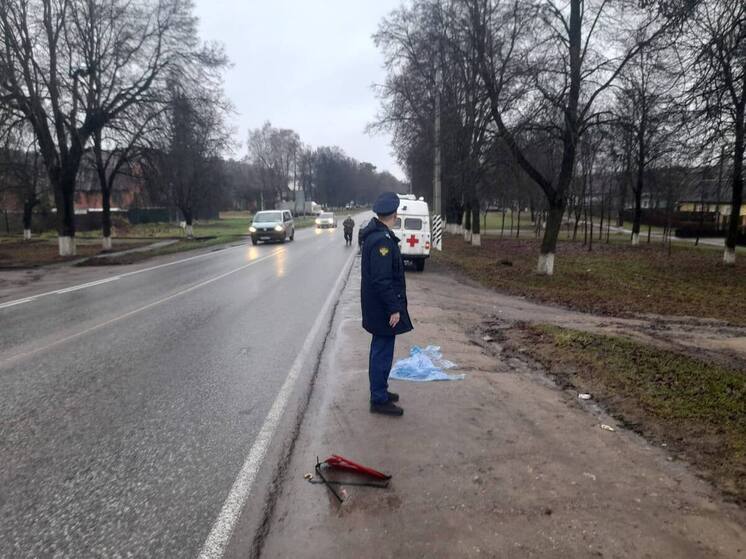 На трассе под Жуковом Hyundai снёс женщину