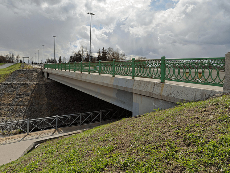 Двум петербургским мостам без названия присвоят имена Державина и Зубкова