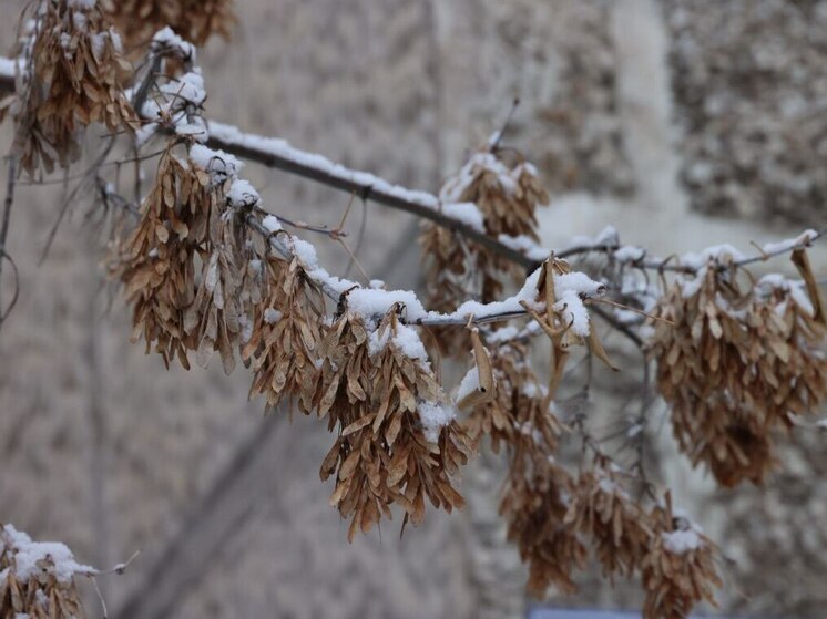 В пятницу на Южном Урале будет +4 градусов