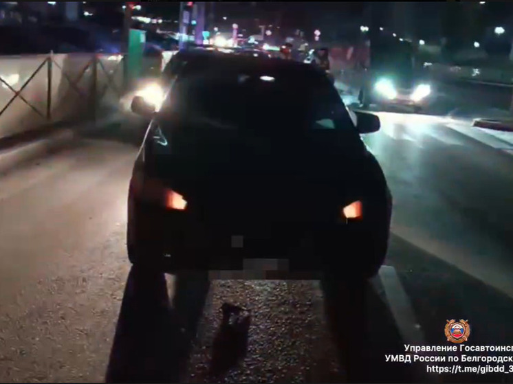 В Белгороде молодой водитель проехал на красный и сбил пешехода