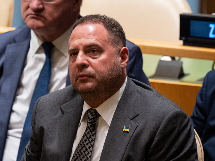 Азаров: Зеленскому ради власти придется отправить в отставку Ермака