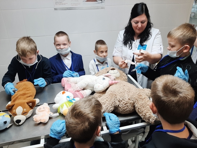 От игр к стетоскопам: юные тамбовчане примерили на себя роль ветеринаров