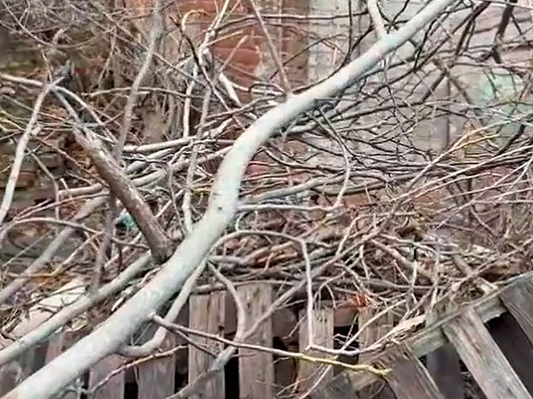 Заброшенное здание угрожает безопасности липецкой школы