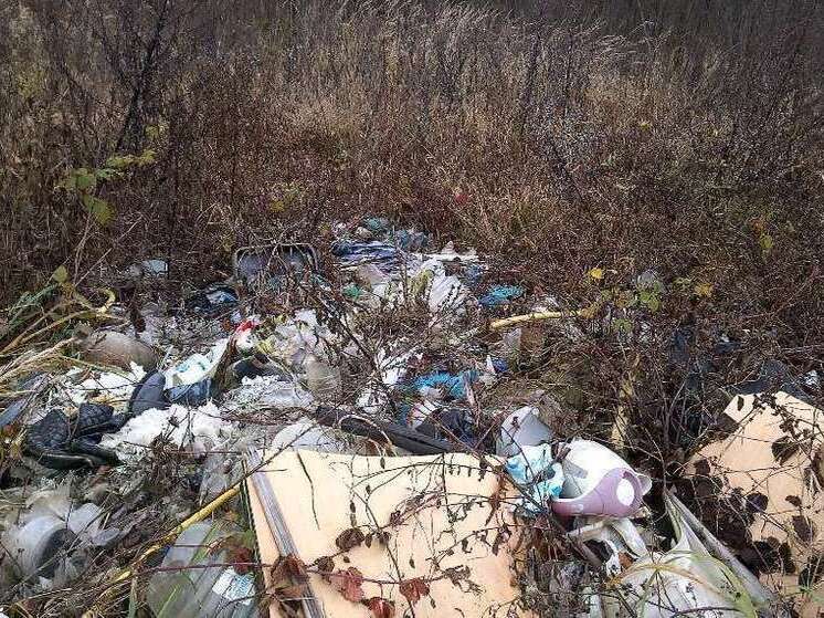 В Жуковском районе нашли несанкционированную свалку на пяти сотках земли