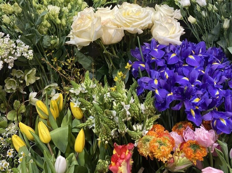 Партию зараженных цветов снова пытались ввезти из Литвы в Калининград