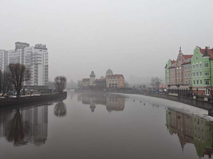 Из-за опасных бактерий в еде калининградский ресторан закрыли на месяц