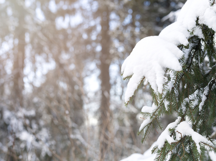 Первые серьезные морозы и гололедица ожидаются в Красноярске