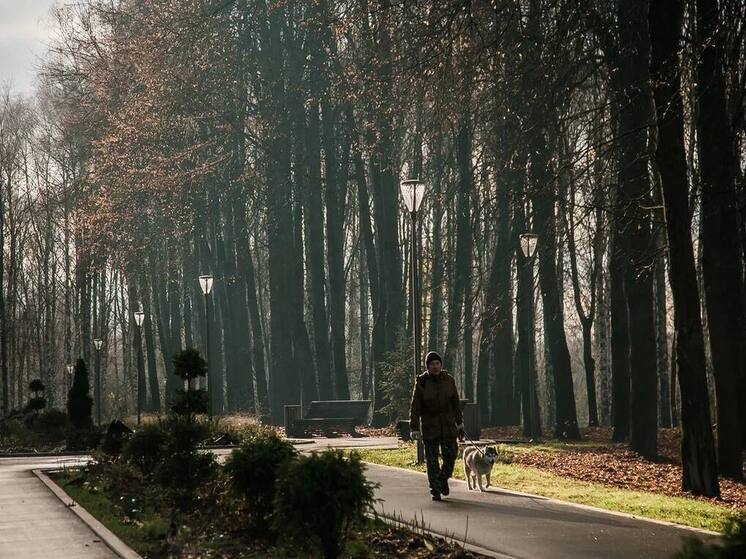 Потепление до +6 ожидается в Нижнем Новгороде 28 ноября