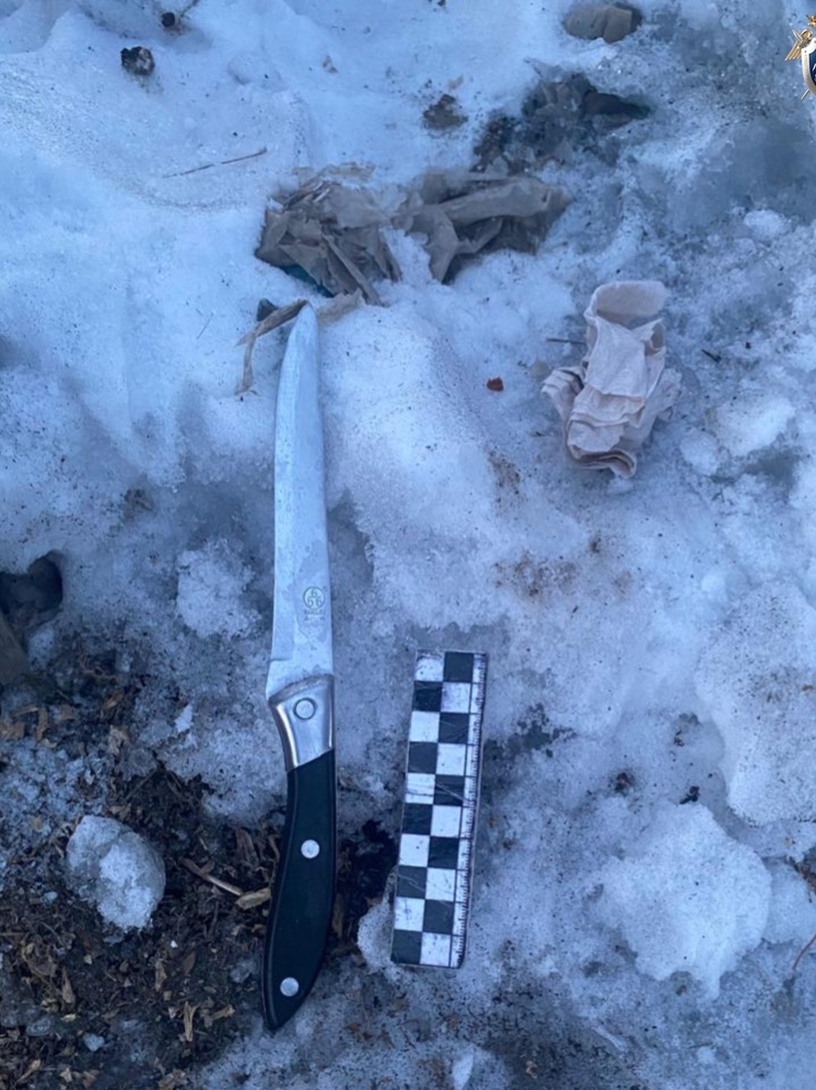 Житель Тувы  предстанет перед судом за  убийство родственника