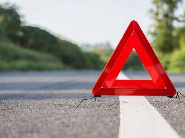 В Ярославской области лось оказался почти в салоне автомобиля