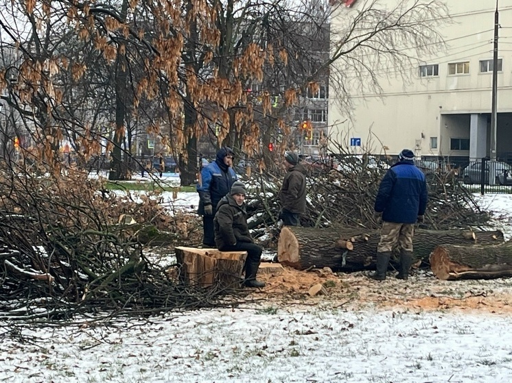 В Бутусовском парке второй день пилят деревья