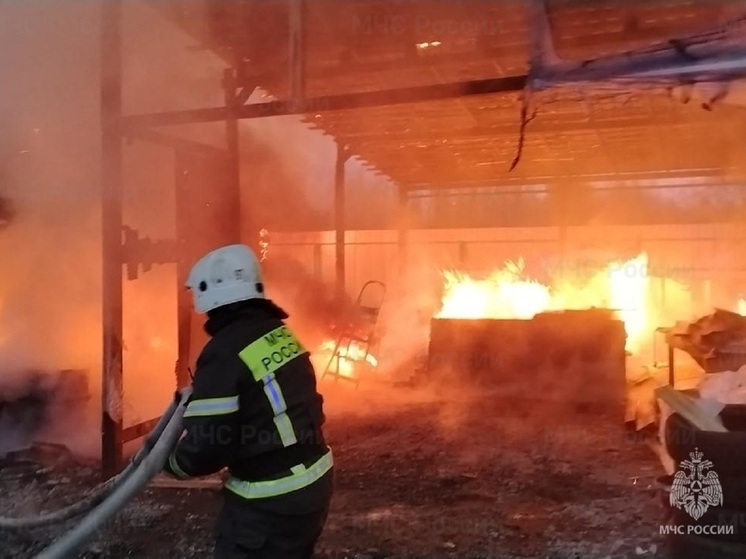 В Екатеринбурге сгорел садовый дом на Селькоровской