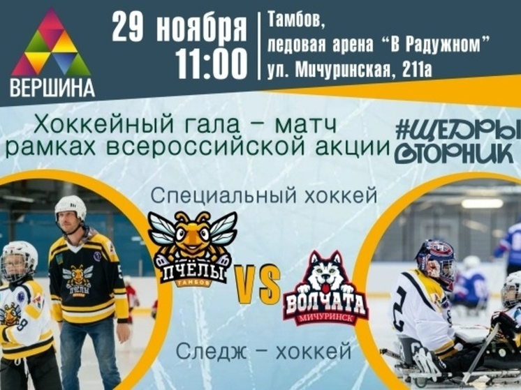 Сила на льду: в Тамбове пройдет благотворительный праздник адаптивного хоккея