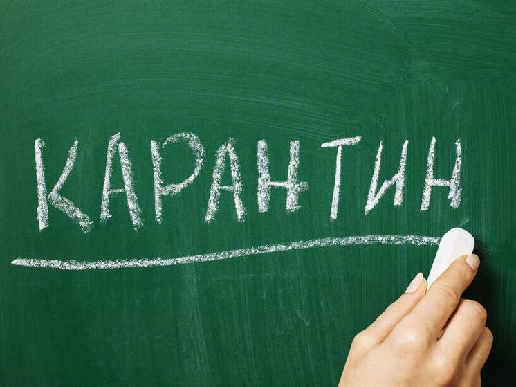 Четыре нижегородские школы и детсад закрыли на карантин