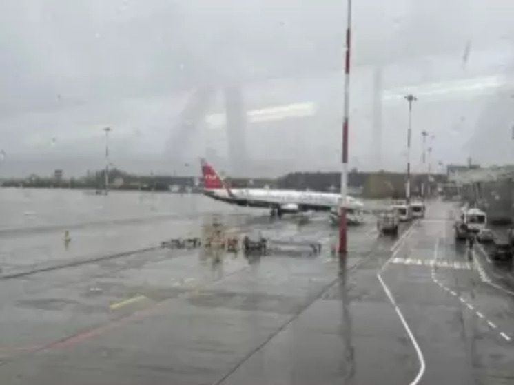 На содержание аэропорта Платов в Ростове потратят 5,1 миллиона рублей