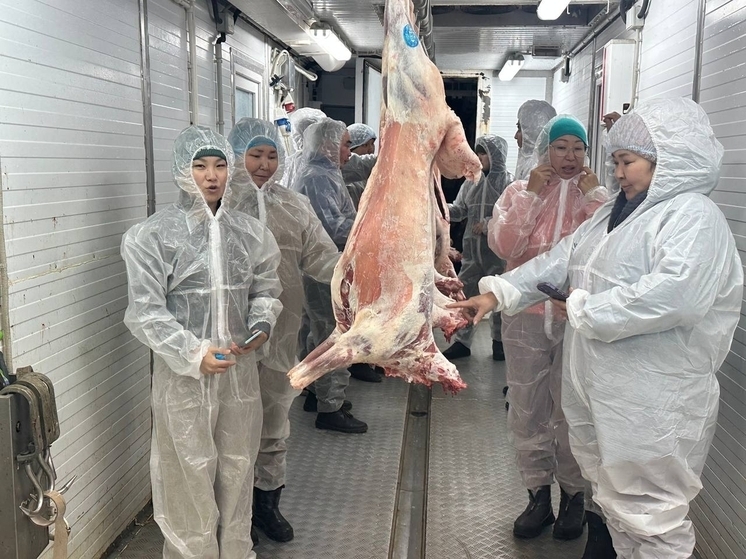 Студенты ТувГУ посетили   мясоперерабатывающий комплекс