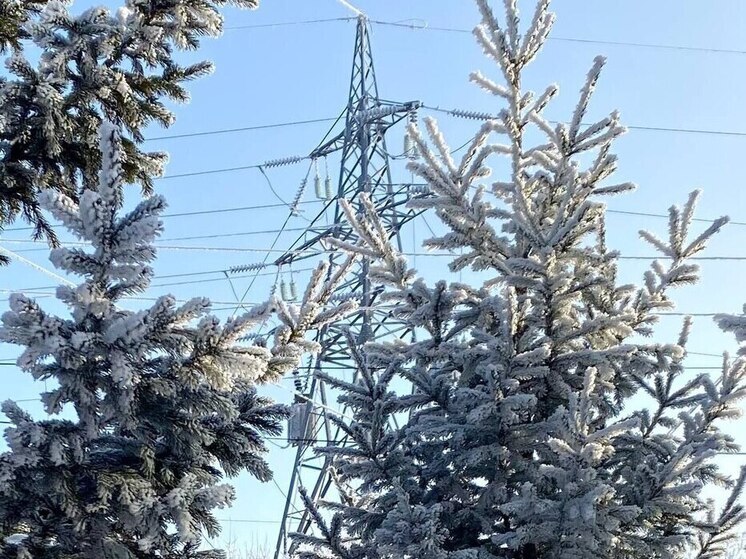 Метель и трехметровые сугробы не давали хакасским энергетикам вернуть свет сельчанам