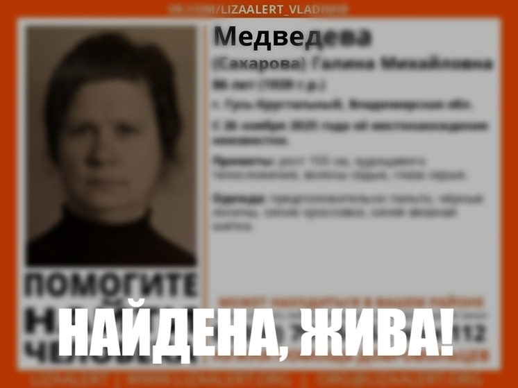 Определились судьба пропавшей во Владимирской области долгожительницы