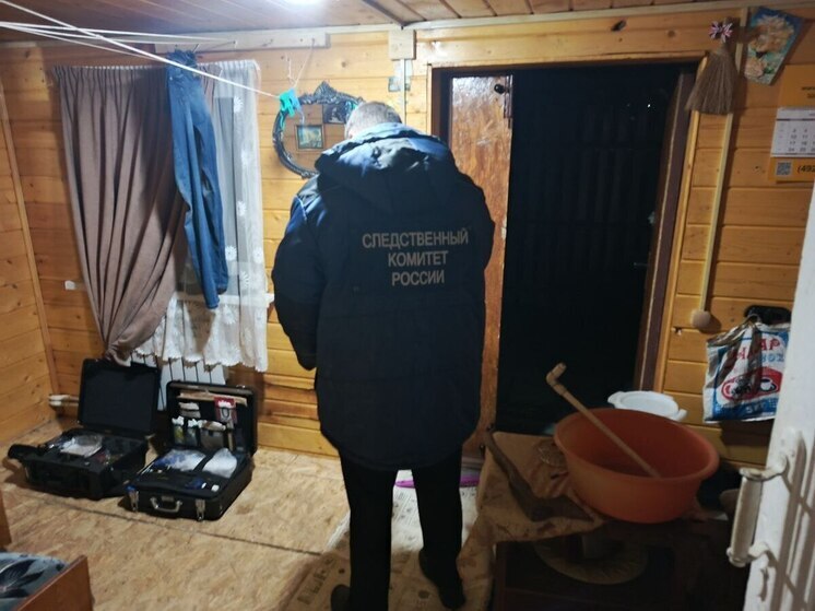 Жительница Владимирской области закопала мигранта под деревом