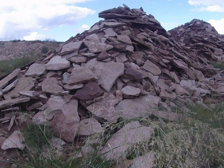 Хакасский фермер замаскировал добычу плитняка пастбищем для скота