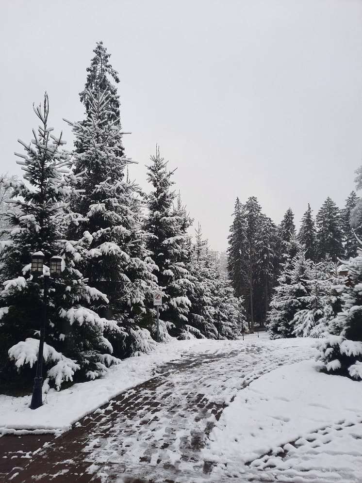 В Курске начали поиск новых экологичных площадок для хранения снега