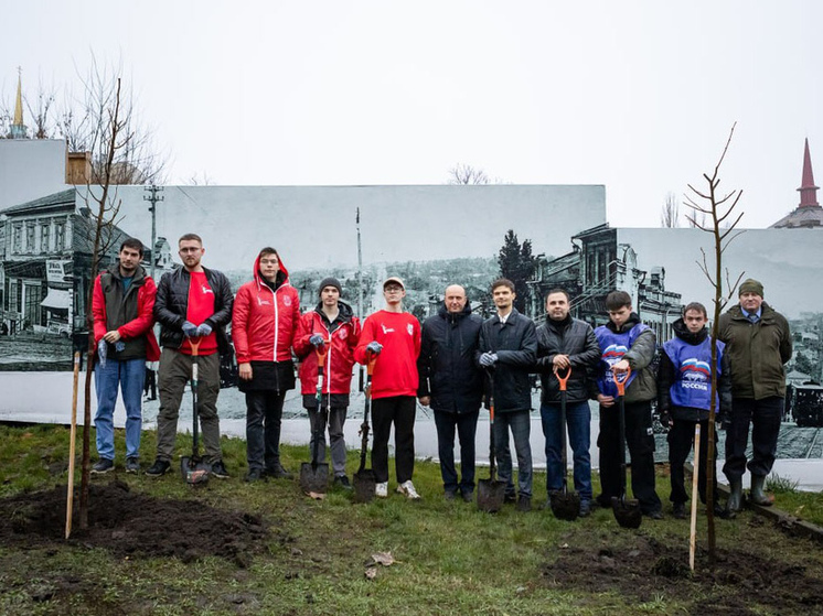 Более 20 молодых лип высадили на улице Дзержинского в Курске