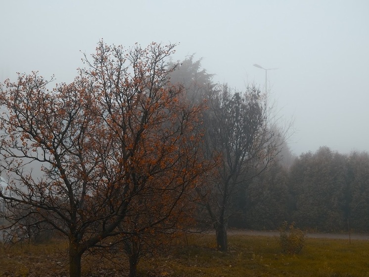 В Волгоградской области 28 ноября синоптики прогнозируют дожди