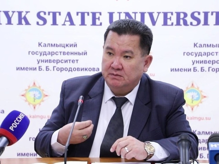 Калмыцкий госуниверситет защитил программу развития до 2030 года