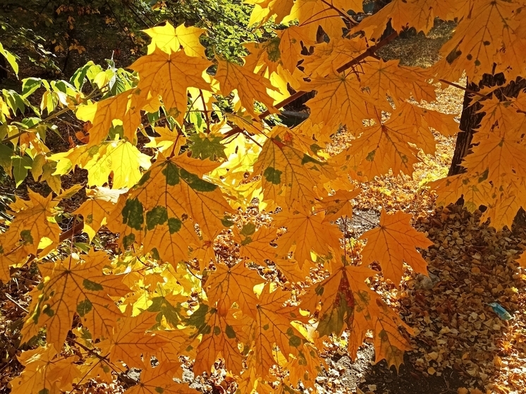 Сила магнитной бури 28 ноября составит 4 балла: хорошее время для продолжения начатых дел