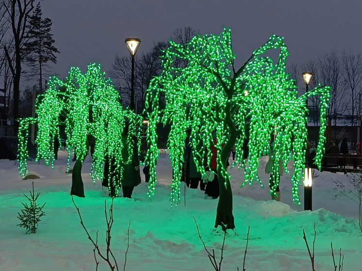 Жители поселка Хор в Хабаровском крае получили обновленный парк в рамках нацпроекта