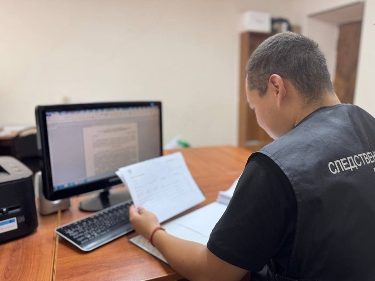 Мошенник выплатил штраф за обман жительницы Калмыкии