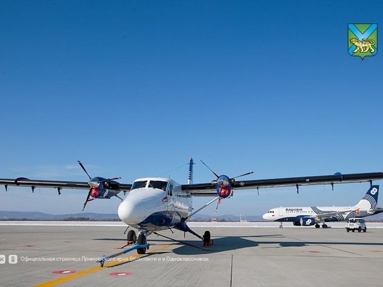 Сильный снегопад нарушил региональные авиаперевозки в Приморье: часть рейсов отменена