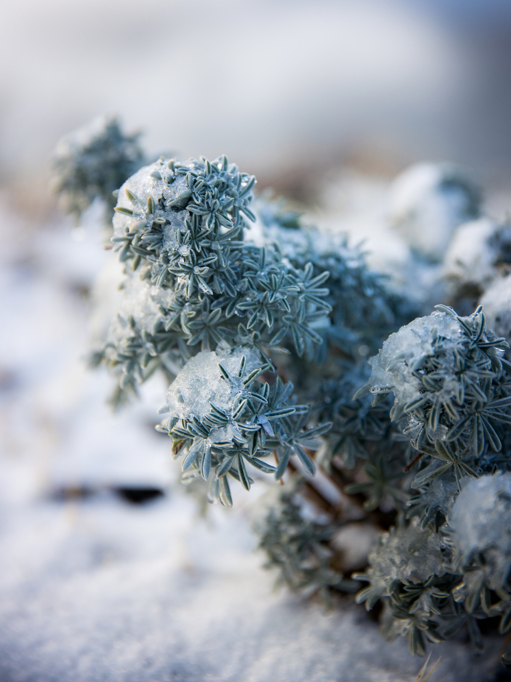 Морозы вплоть до -33 градусов ожидают томичей 28 ноября