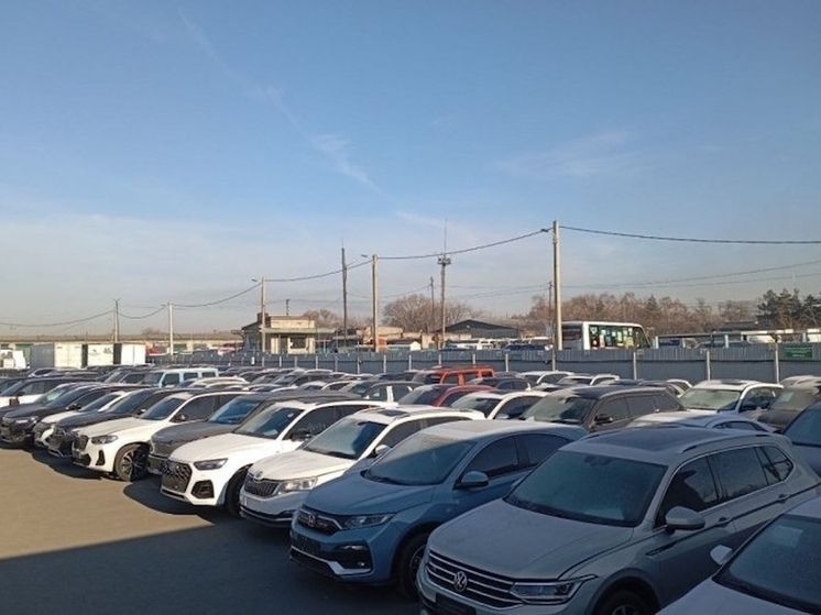 Владивостокская и Уссурийская таможни начали круглосуточное оформление автомобилей