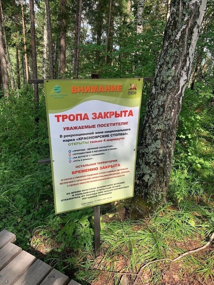 В нацпарке «Красноярские Столбы» планируют восстановить Каштаковскую тропу после семилетнего перерыва